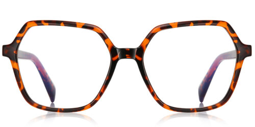 BV115 Stylowe Oprawki / Stylish Frames